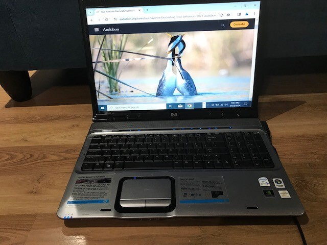 Hp Pavillion Dv93305ca-Intel (R) Core (TM) 2 CPU T5500 @ 1.66 GHZ- 1.67 GHZ