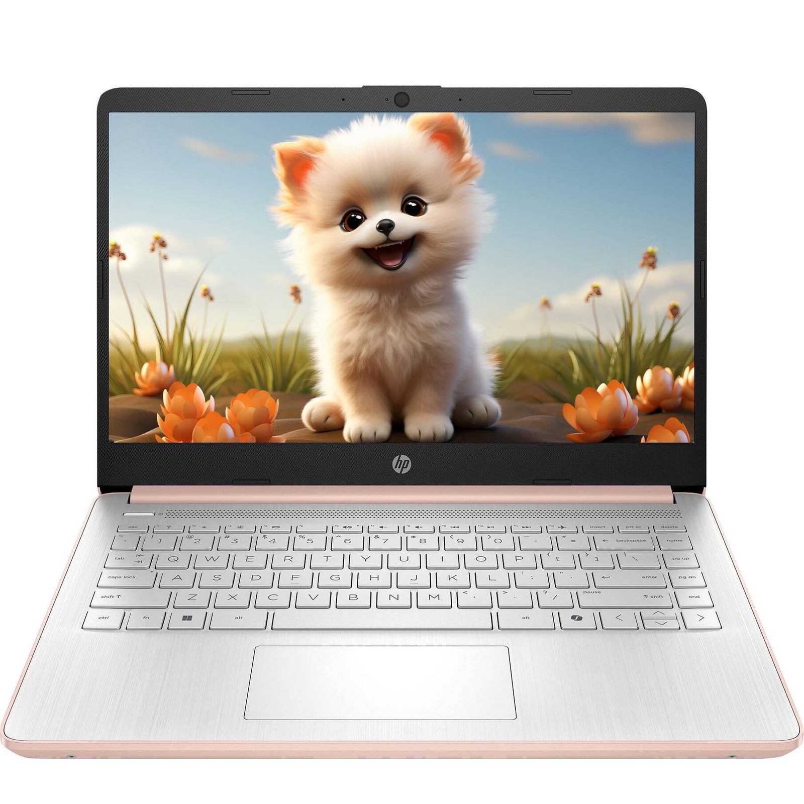 HP 14 inch, 1128GB UFS, Intel N150 (Beats N4120), Pale Rose Gold
