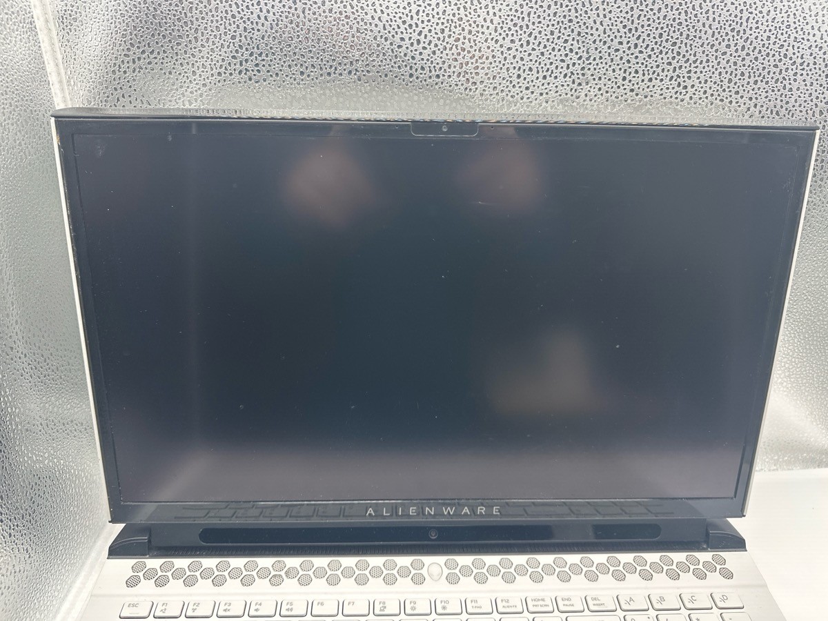 ALIENWARE AREA-51 M R2 64GB/4TB SSD I9-10900 @3.70 LAPTOP (TDW040014)