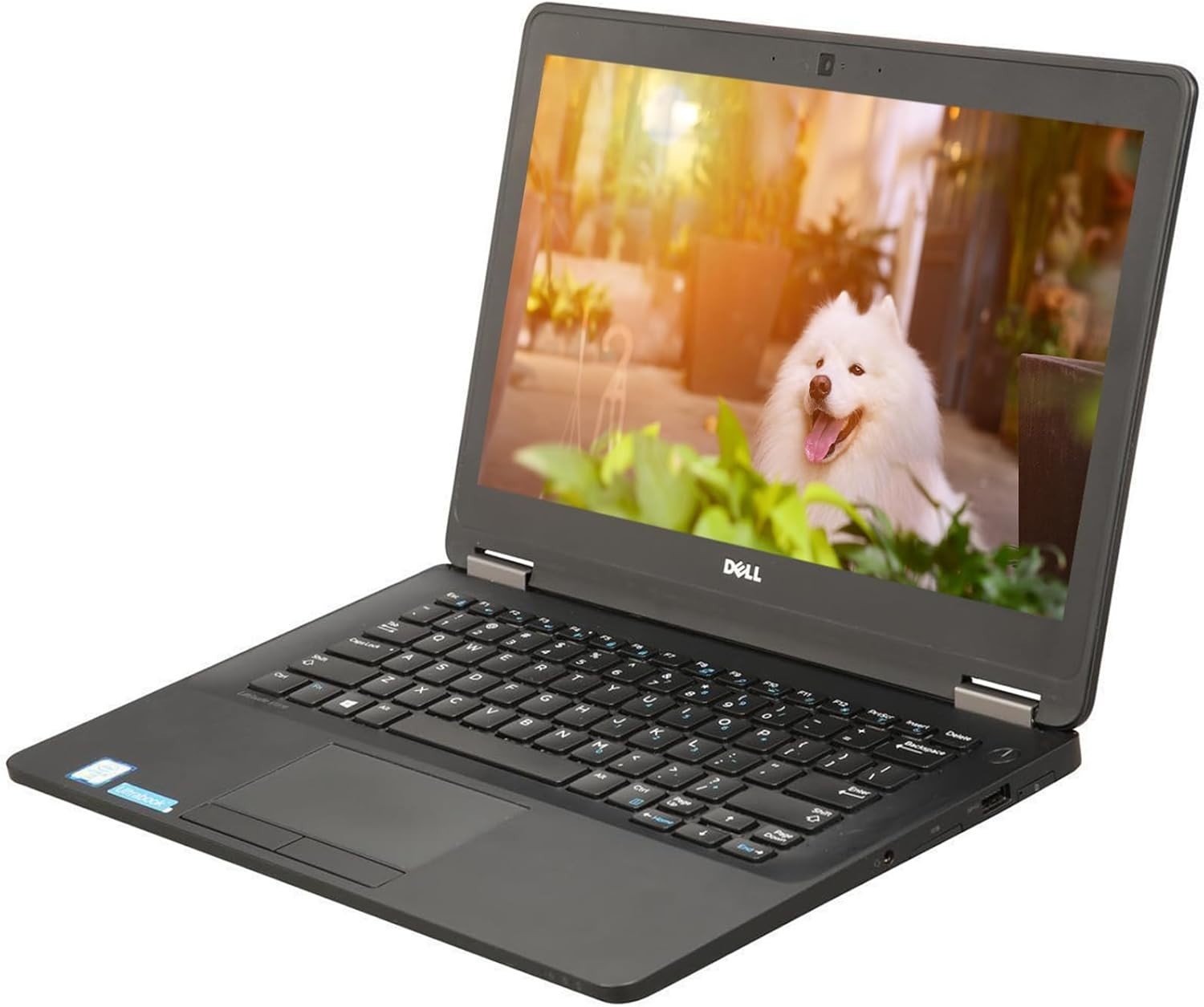 ~Clearance Sale~Dell Latitude i5 Laptop 16GB RAM 500GB HDD Win 10 Pro Webcam