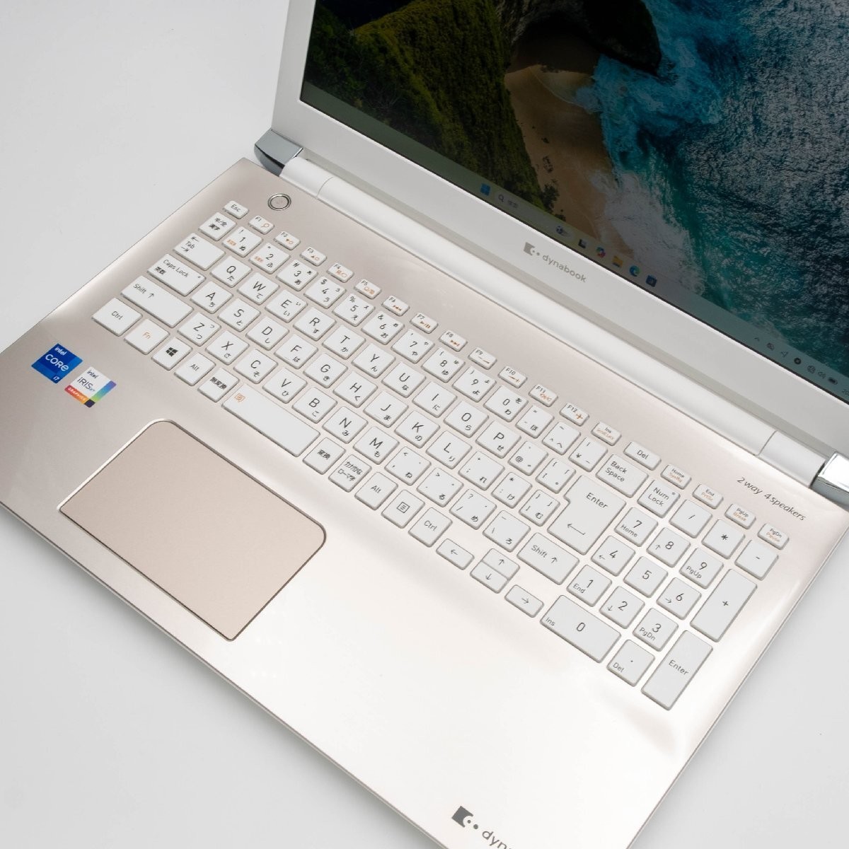 dynabook P1-T6RP-EG 15.6-inch Notebook PC, 11th Generation i7, Windows 11 Used