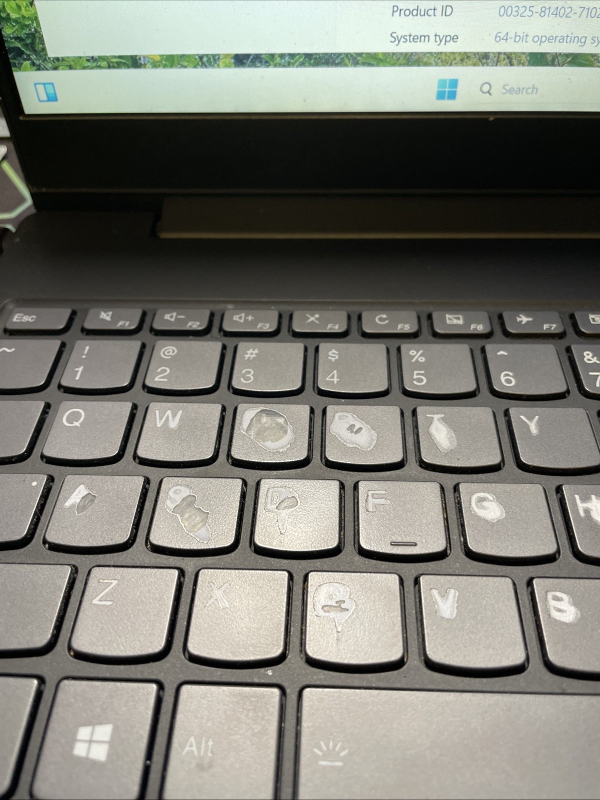 Lenovo Laptop Intel Core i5 | Dolby Audio | Charger Included | Clean & Working