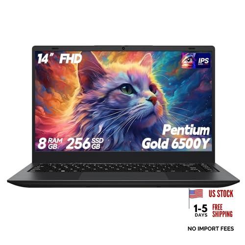 Laptop Computer, 8GB RAM 256GB SSD, Laptop with Gold 6500Y (Beat 14 Inches