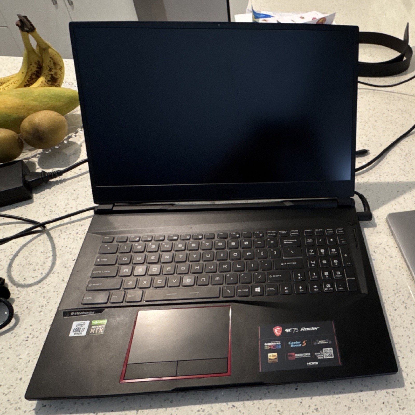MSI GE75 10se Raider Gaming Laptop Intel Core I7-10750H, GeForce RTX 2070, 10 ge