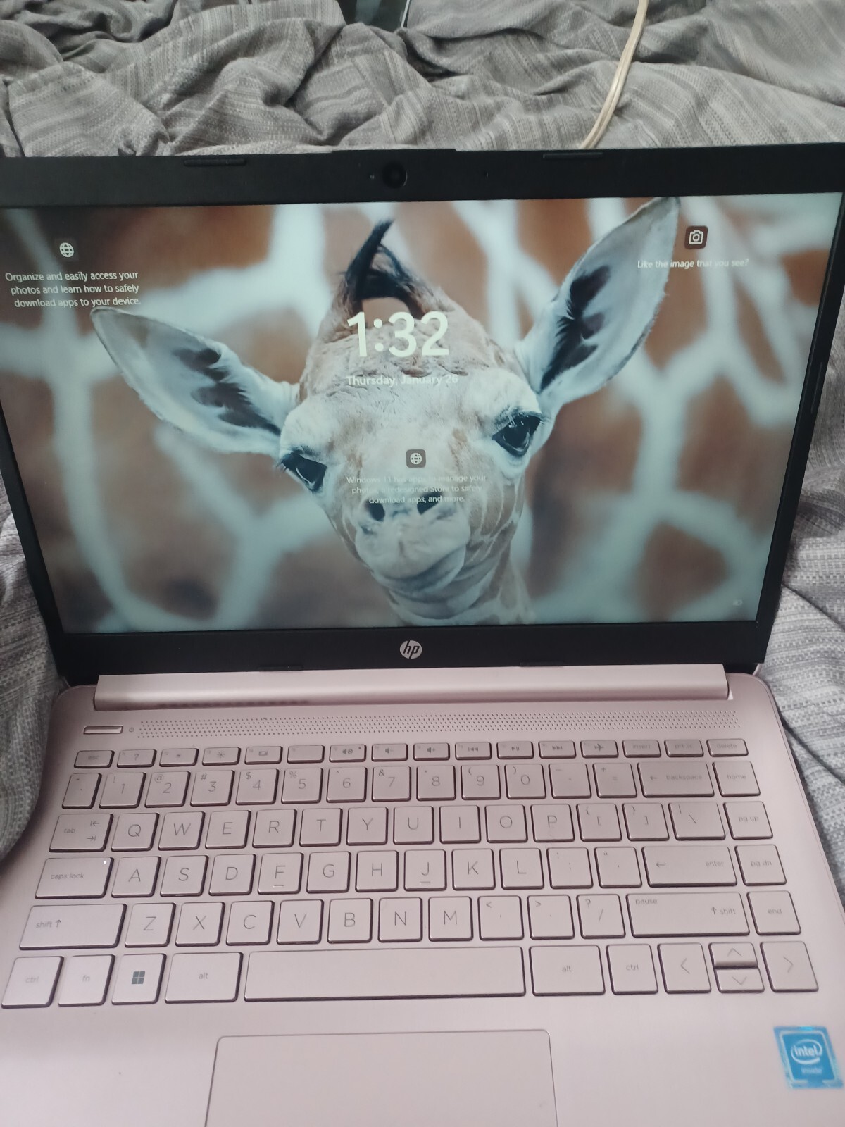 HP Stream 14-cb172wm 14″ (64 GB, Intel Celeron N4000, 1.10 GHz, 4 GB) Laptop…