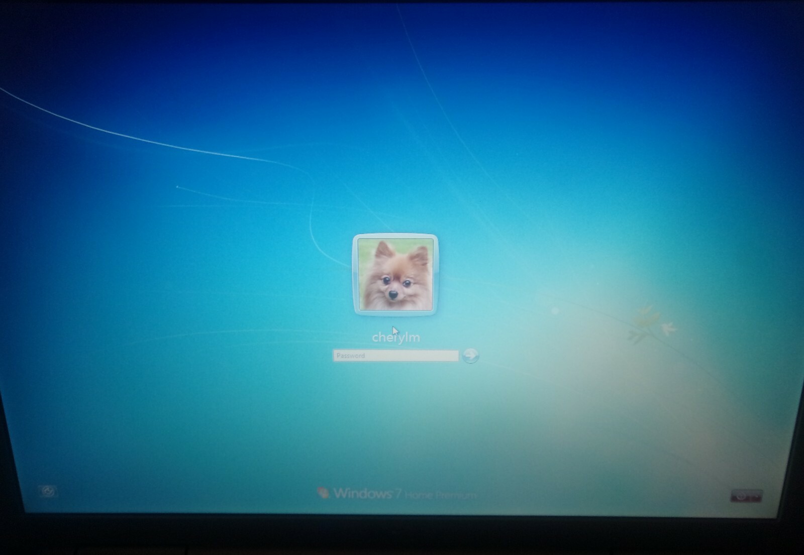 DELL INSPIRON 1720 LAPTOP WINDOWS VISTA POWERS ON NO PASSWORD NO CHARGER CORD
