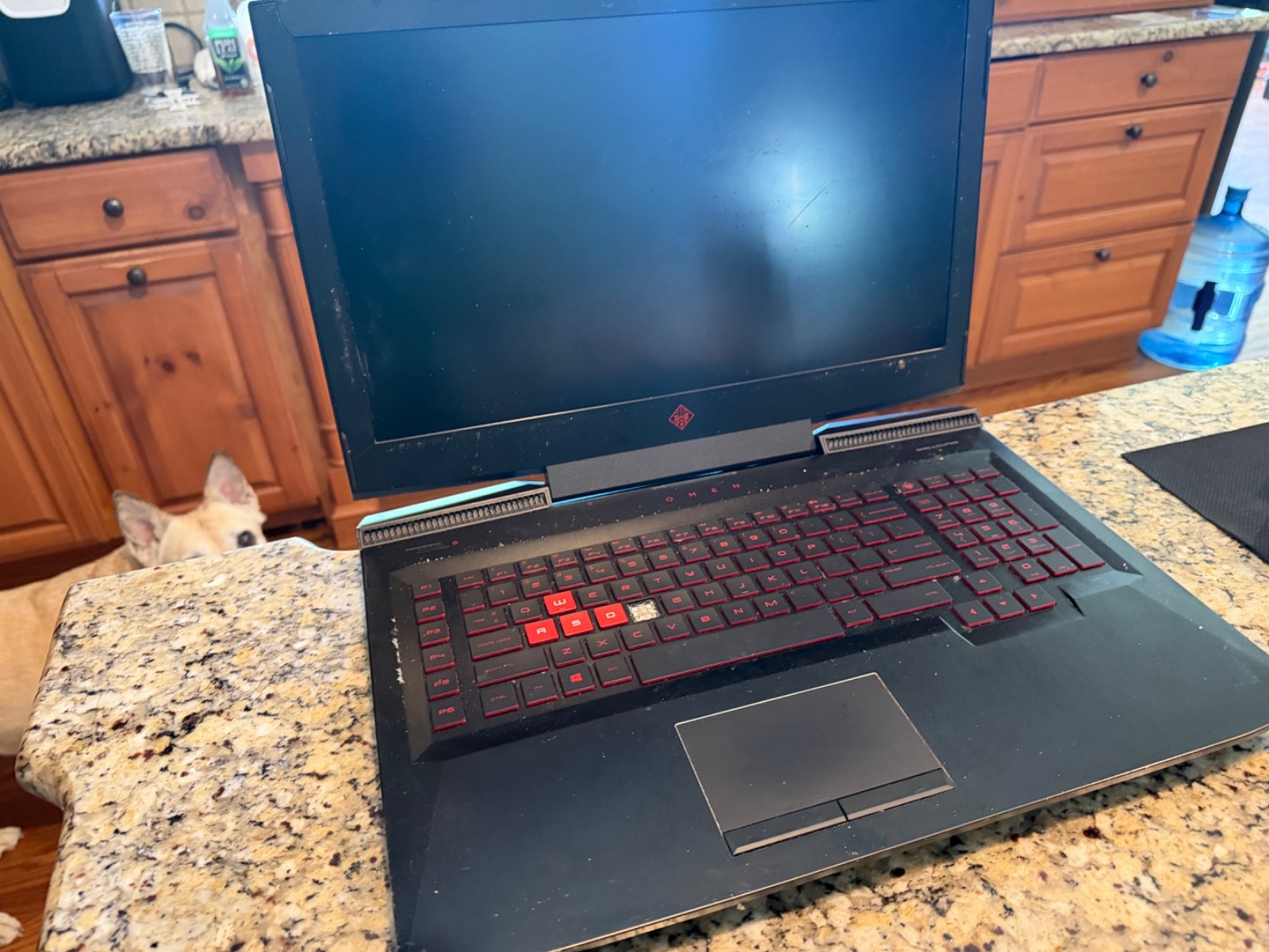 HP Omen 17.3″ NEEDS MILD QOL REPAIRS, NO CHARGER.Missing F Key and needs Battery