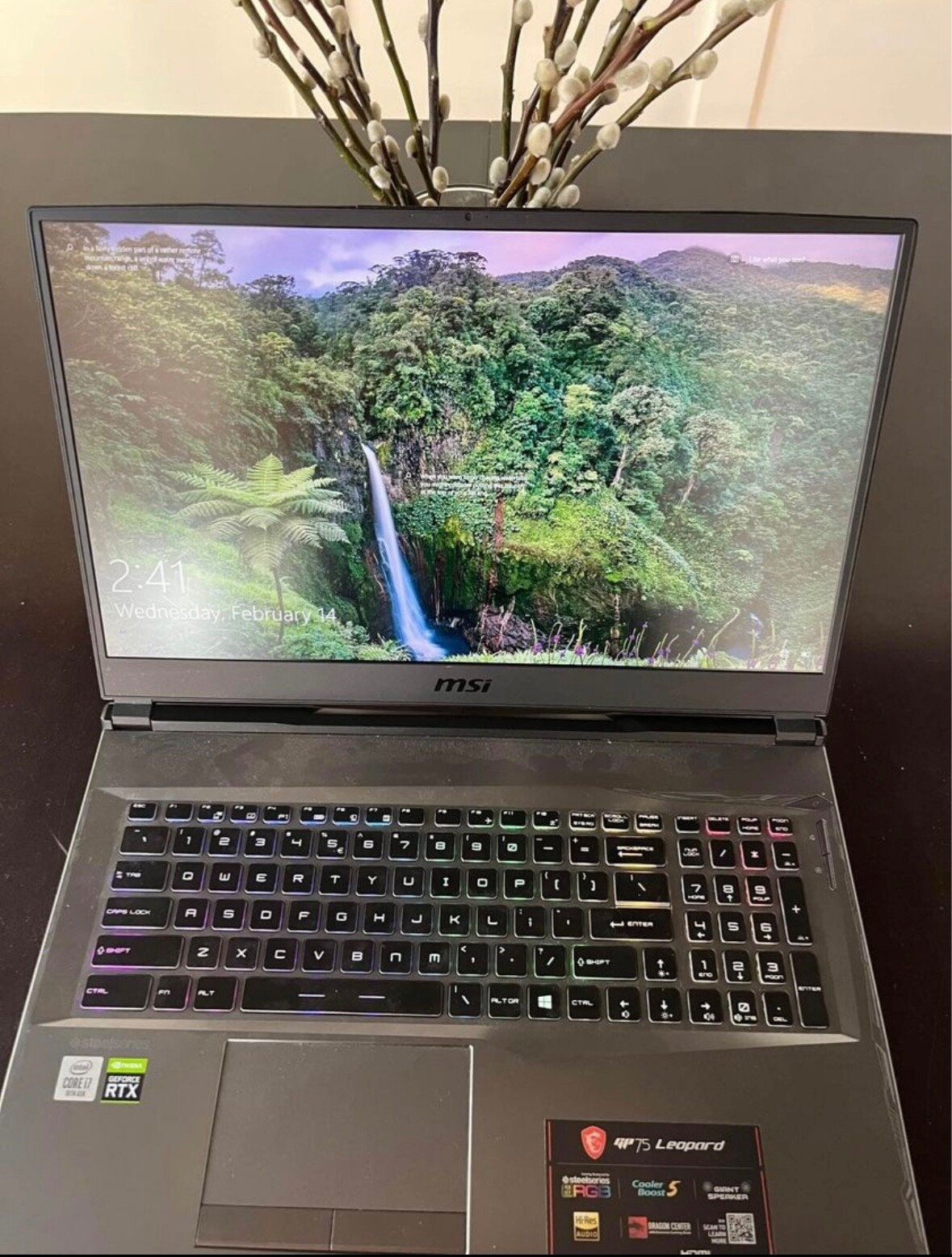 MSI GP75 Leopard 10SFK 17.3” RTX 2070 (512GB SSD+added2t, Intel i7 10th Gen.)