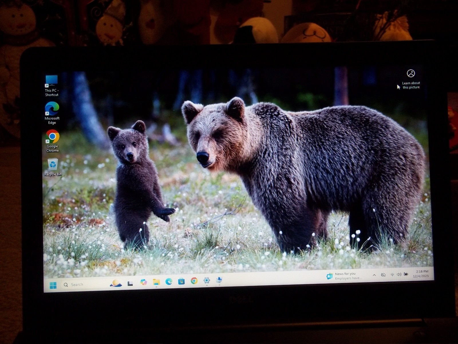 Dell Inspiron 15 5545 Large WIN 11 Laptop *54