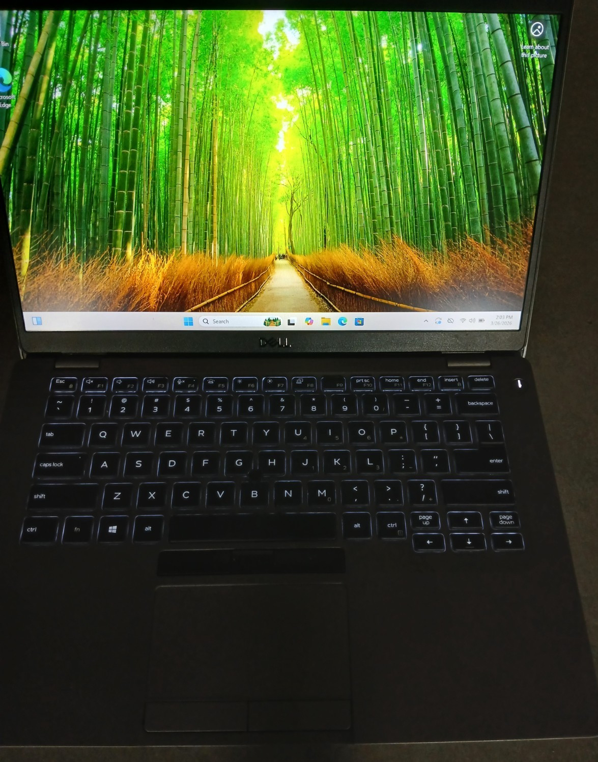 Dell Latitude 5410 14″ (512GB SSD, Intel Core i5 10th Gen., 4.20 GHz, 16GB)…