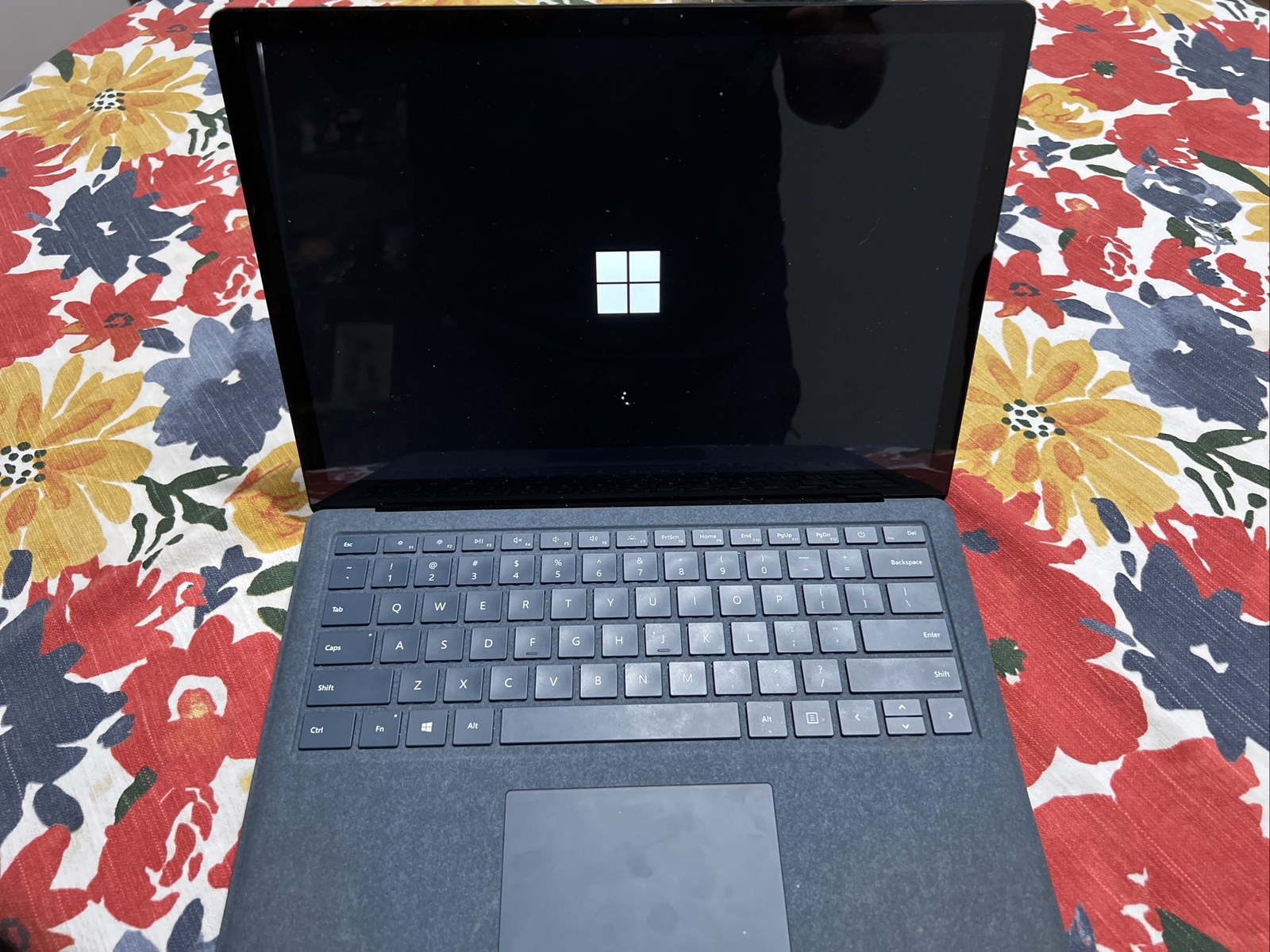 Microsoft Surface Laptop 2 13.5 Inch (256 GB, Intel Core i5 8th Gen., 1.60 GHz,