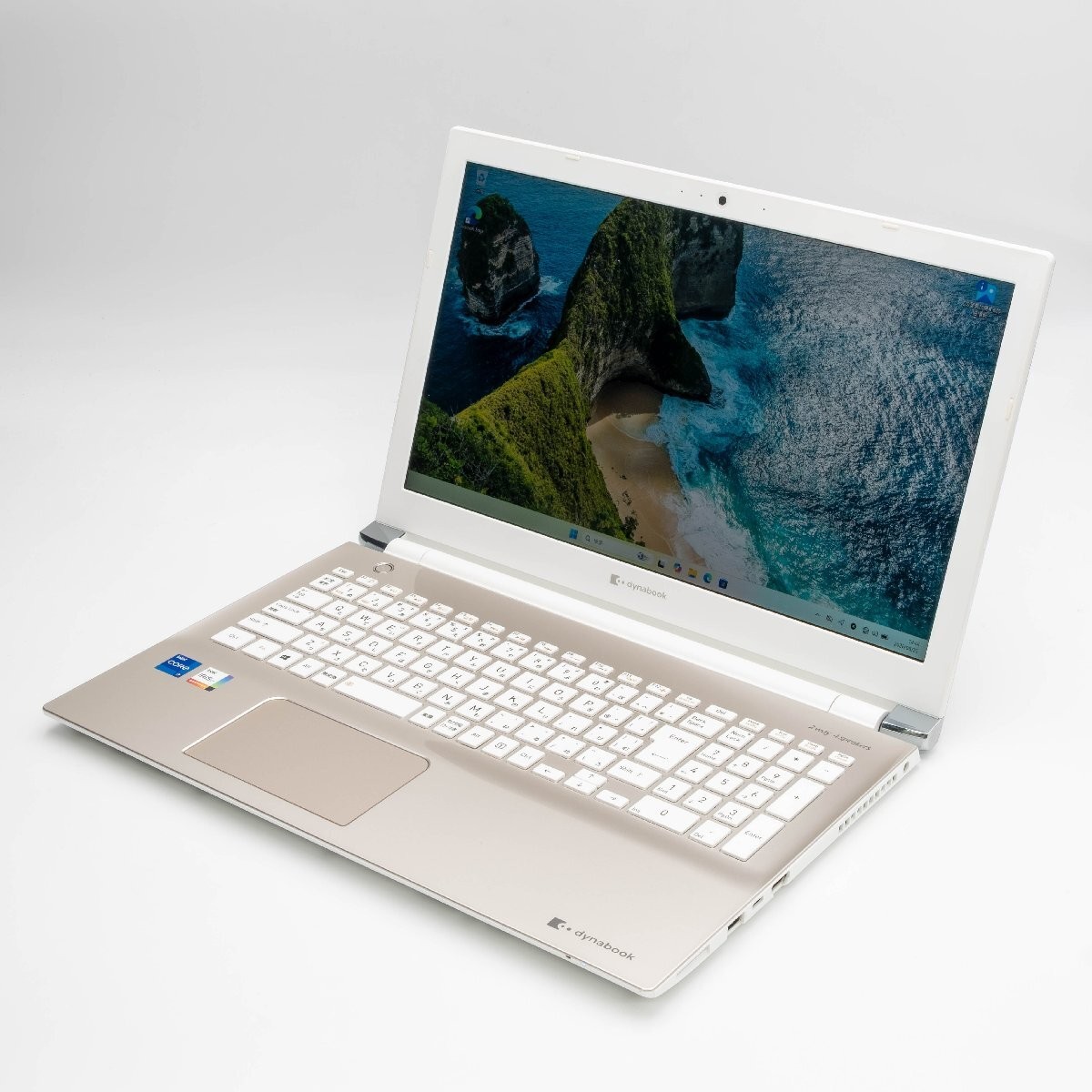 dynabook P1-T6RP-EG 15.6-inch Notebook PC, 11th Generation i7, Windows 11 Used