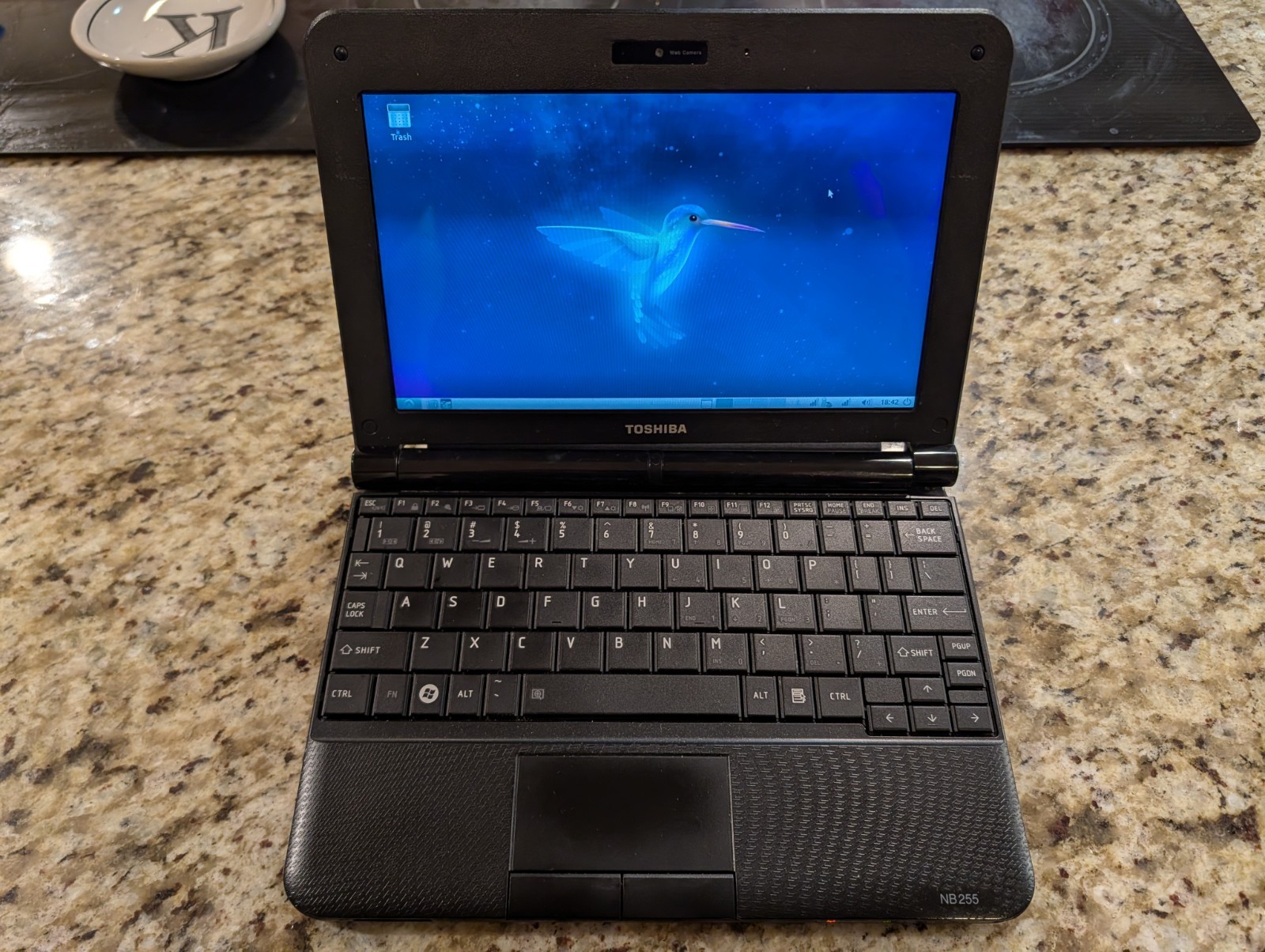 Toshiba NB255 Laptop Intel Atom N455 1.66GHz 1gb RAM 250gb HDD Windows 7 Starter
