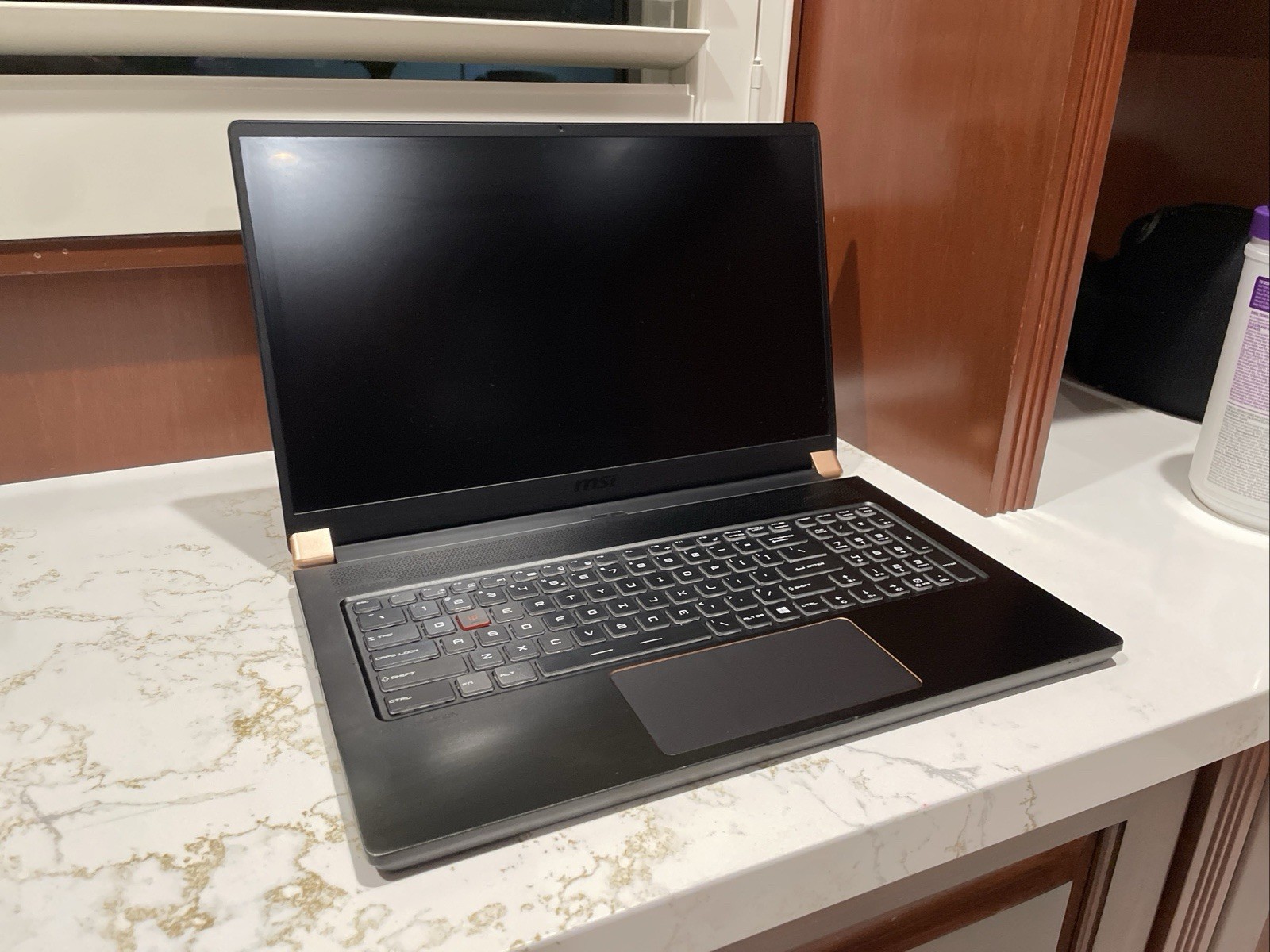 MSI GS75 Stealth 9SG Gaming Laptop (i7-9750H, RTX 2080, 32GB RAM, 1TB SSD)