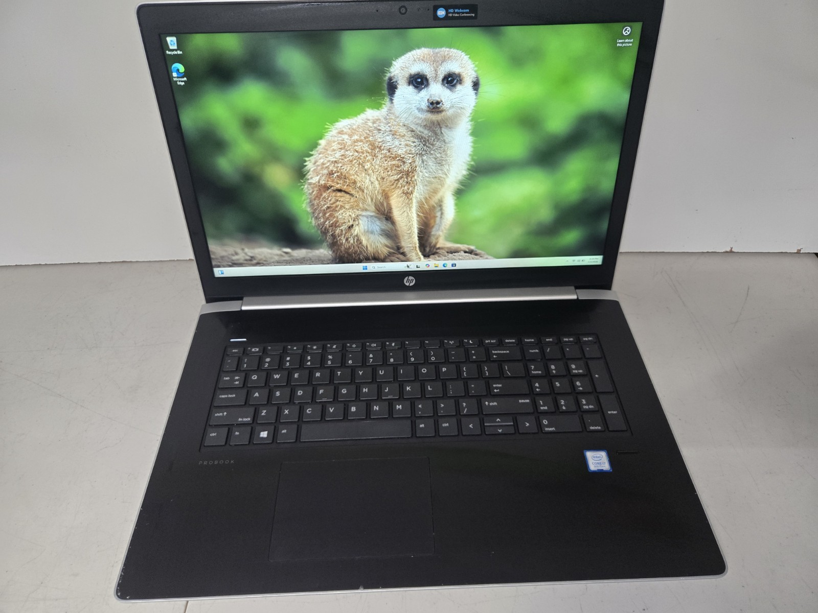 HP ProBook 470 G5 (Win11 / 17.3″ / Core i7-8550U / NVIDIA / 16GB / 256GB NVMe)