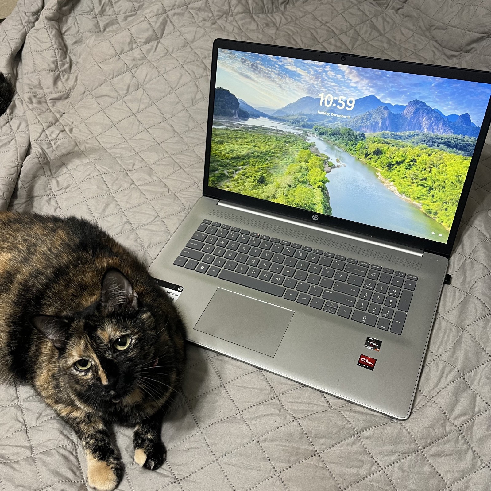 Silver HP 17.3″ HD+ Laptop/Notebook HP (Great Christmas/Back-to-School Gift!)