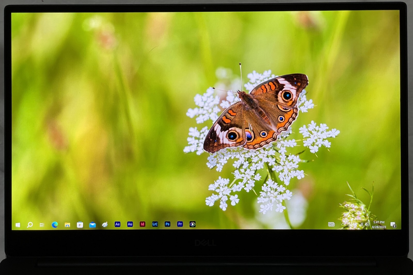 Dell XPS 15 7590 | i9-9980HK 2.4GHz | 4K OLED | 32GB | 2TB EVO+ | Grade A