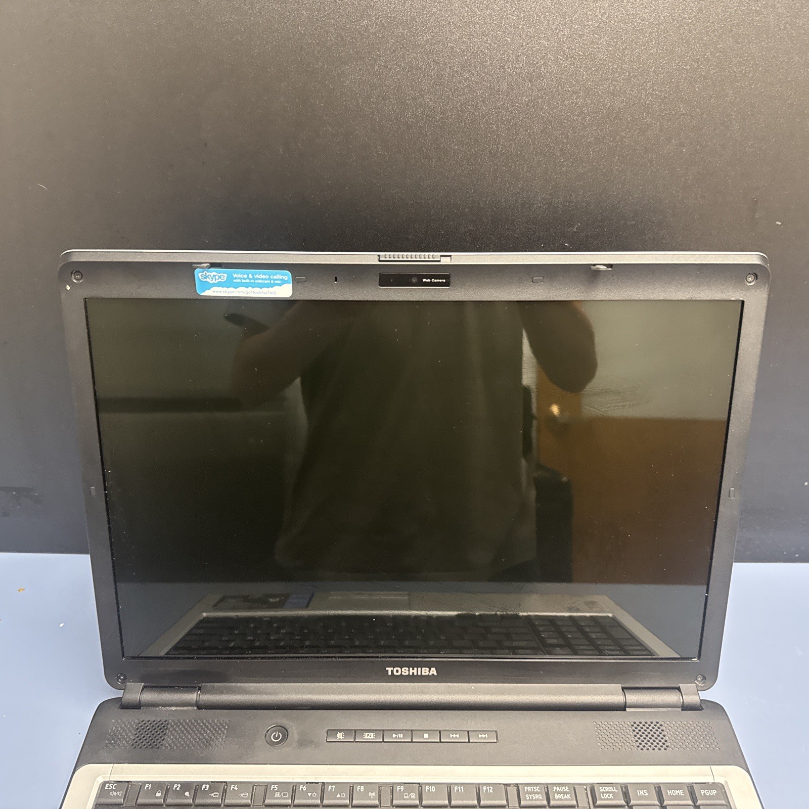 Toshiba Satalite PSLE0U-00H00J