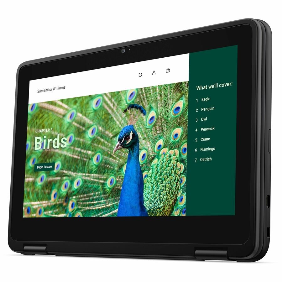 Dell Chromebook 3000 3120 11.6 Clamshell Chromebook – HD – 60 Hz – Intel N100 –