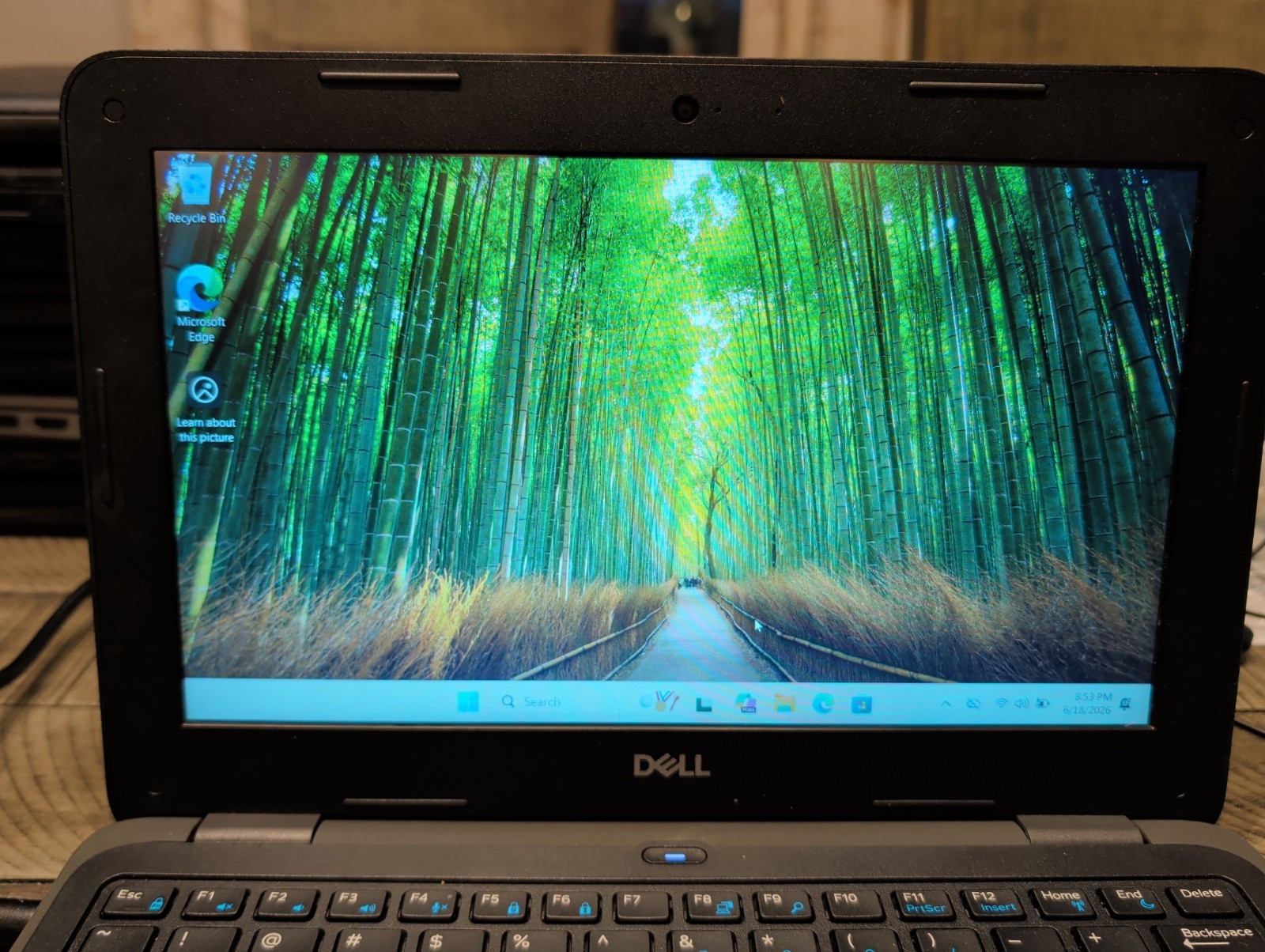 Dell Latitude 3190 Laptop 11.6” Pentium 4GB RAM 64GB SSD Win 11 **Bad Battery