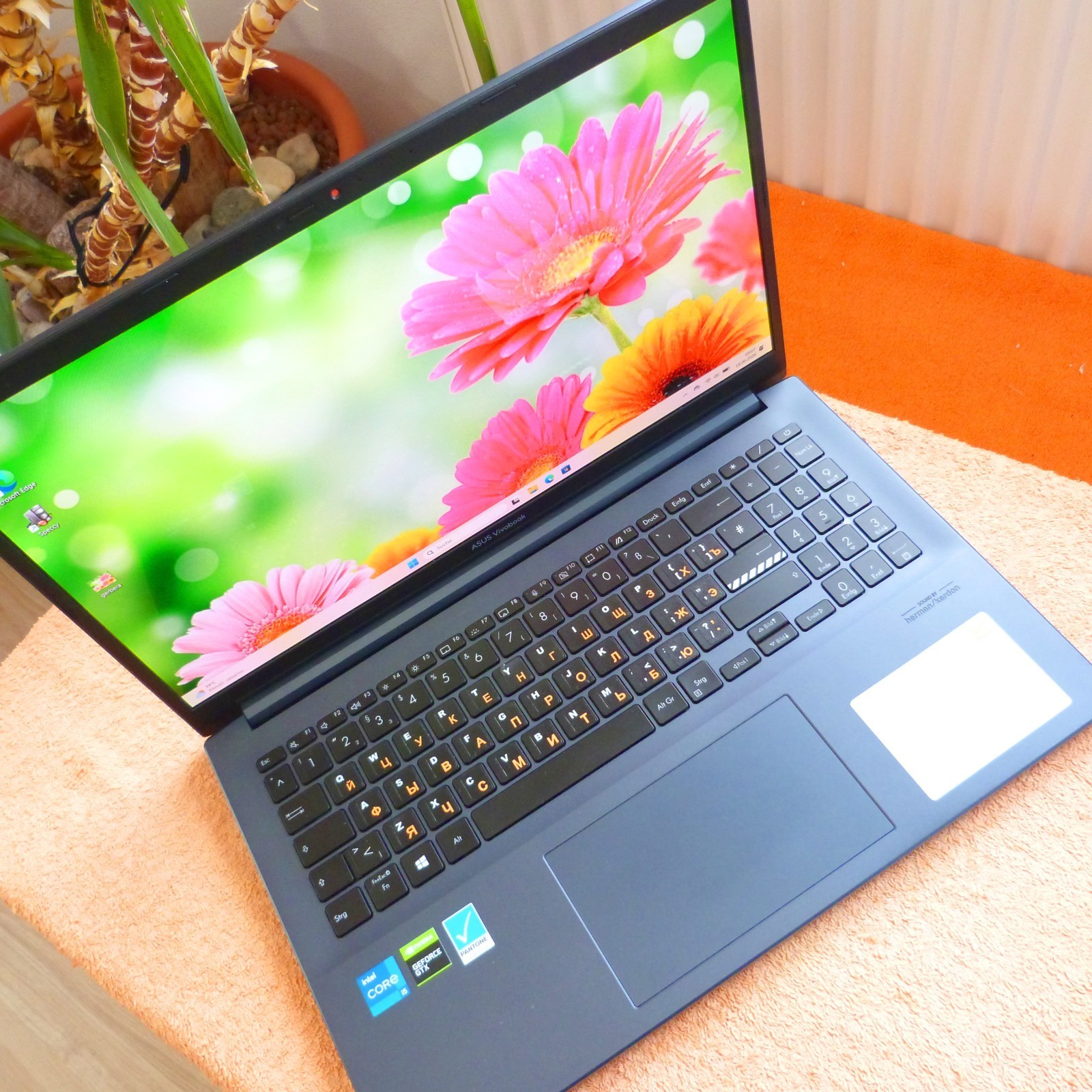 XL SET Asus K3500 Vivobook PRO 15 inch OLED ULTRABOOK l SSD Windows 11 i5 11GEN