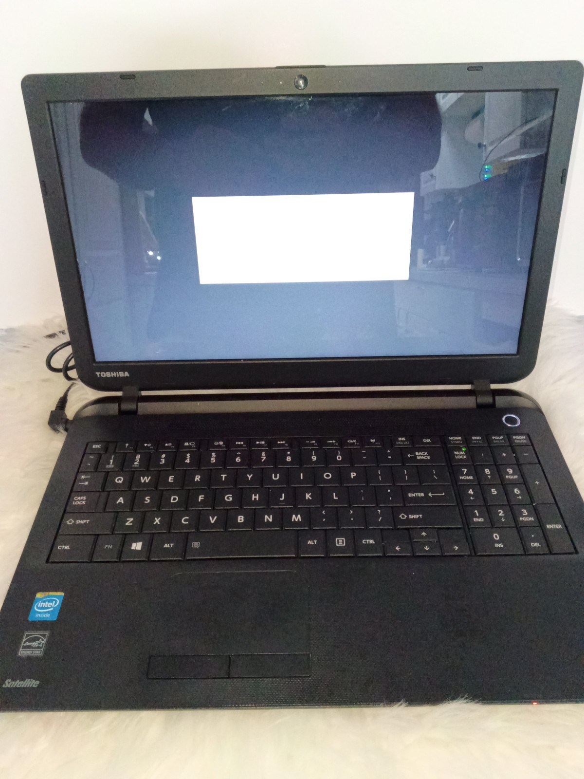 Toshiba Satellite 15.6 in Google Chrome OS Flex operative system Working Great