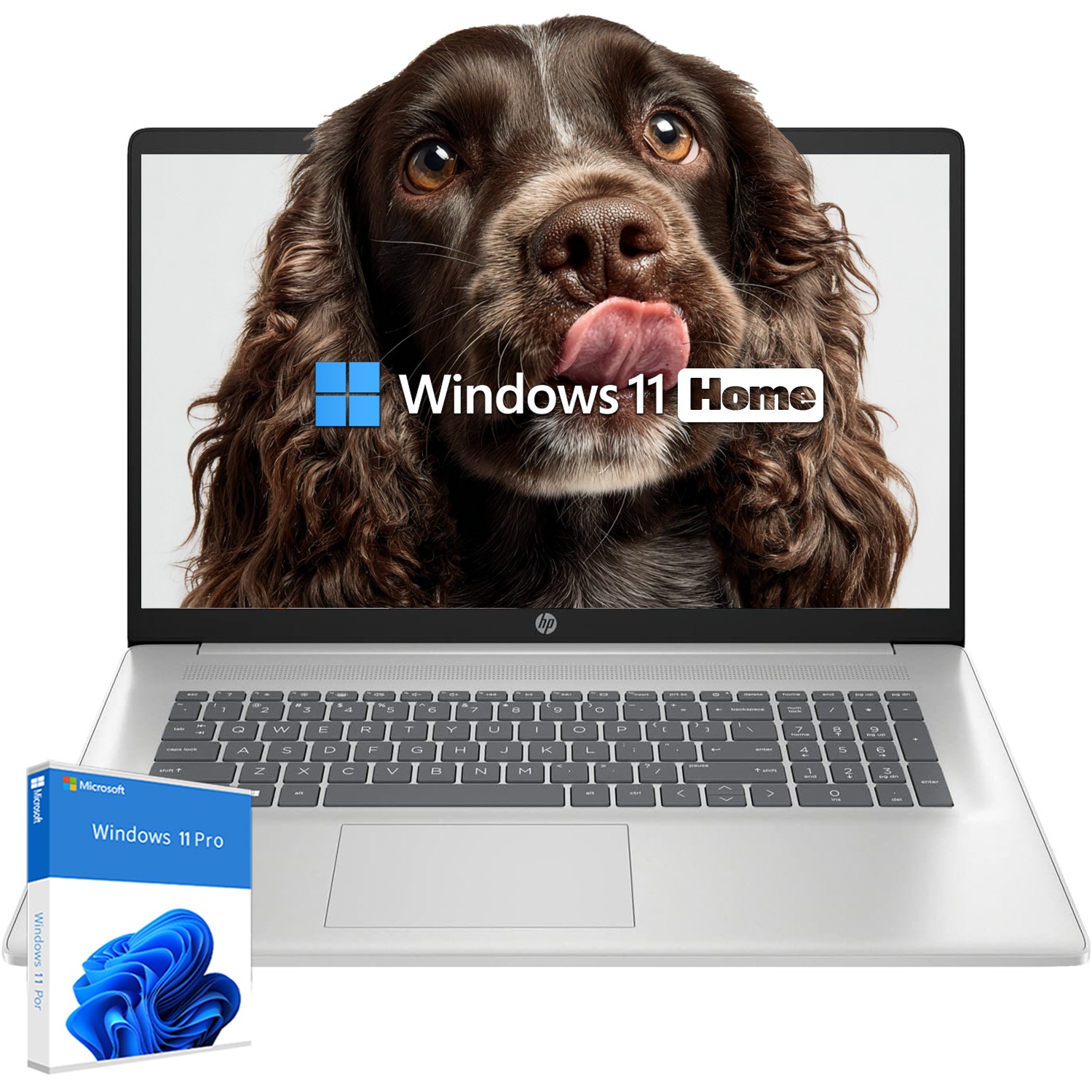 HP 17.3″Touch Laptop computer Win11P 4.5GHz AMD-R5-7530U 64GB RAM 2TB SSD Silver