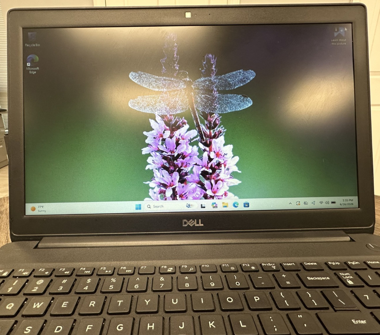 DELL Latitude 3500 i5 8265U -8th Generation 1.60GHz 16GB RAM 256GB NVME