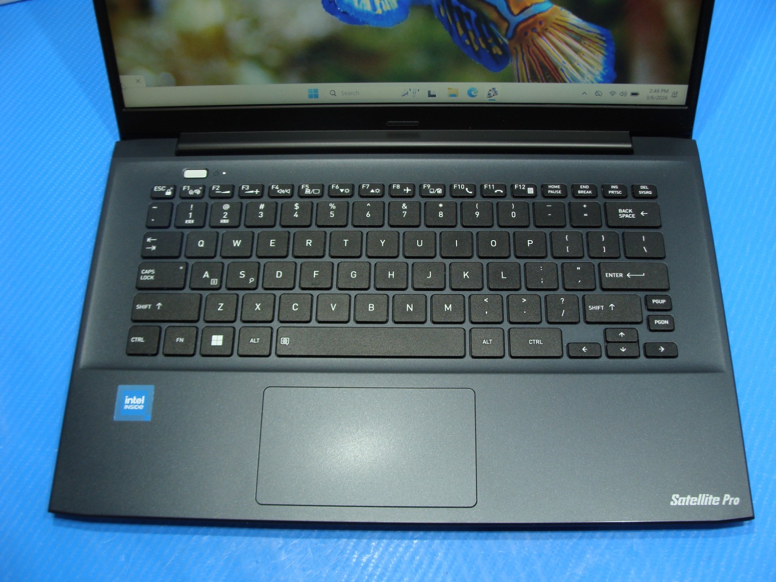 DynaBook Satellite Pro C40-K Intel Celeron 7305 1.1 Ghz 8GB 256GB SSD Win11P +PA