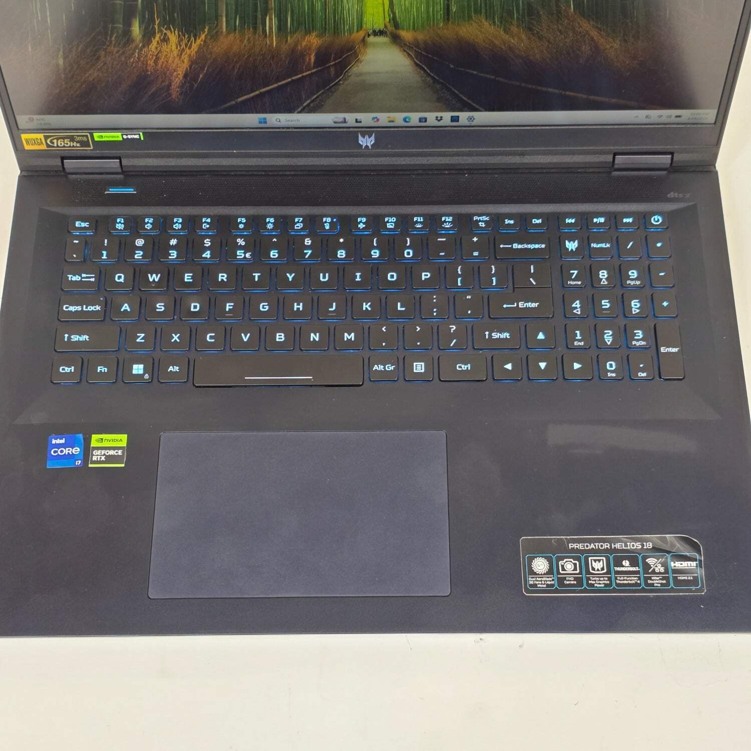Acer Predator Helios 18 i7-13700HX 2.1GHz 16GB RAM 1TB SSD GeForce RTX 4060
