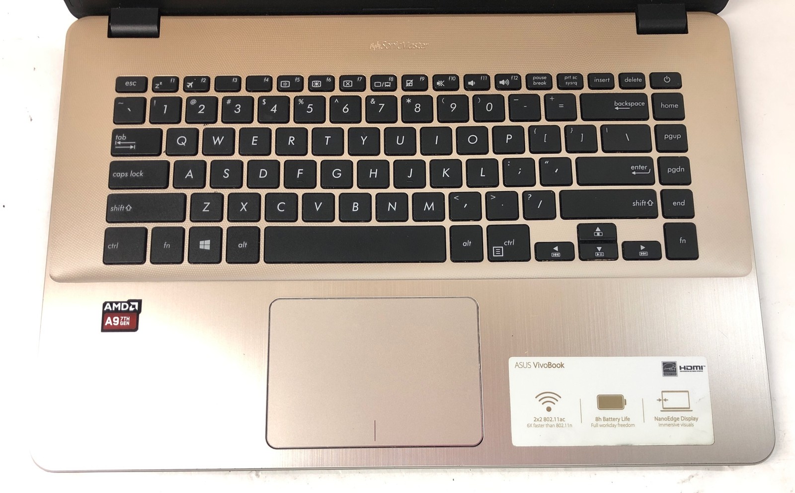 Asus Vivobook 15, AMD A9-9420 Radeon R5 @3.0 GHz, 8GB RAM, 1TB HDD, Windows 10