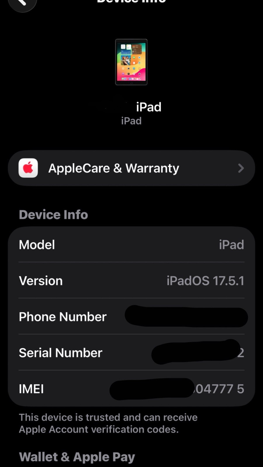 iPadOS 17.5.1