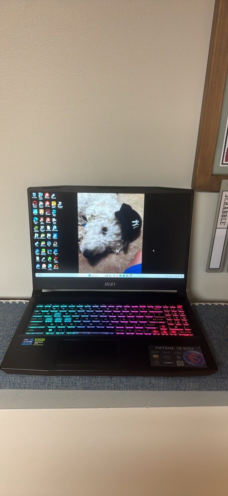 MSI Katana 15 B12VGK-439US 15.6” (1TB SSD Intel Core i7-12650H 4.7GHz 32GB RAM)