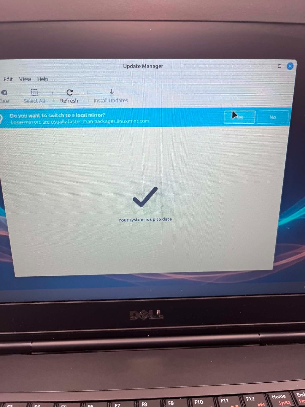 Dell Laptop Linux Mint Cinnamon 8GB Ram,500 GB HD, Good Battery, 1 year warranty