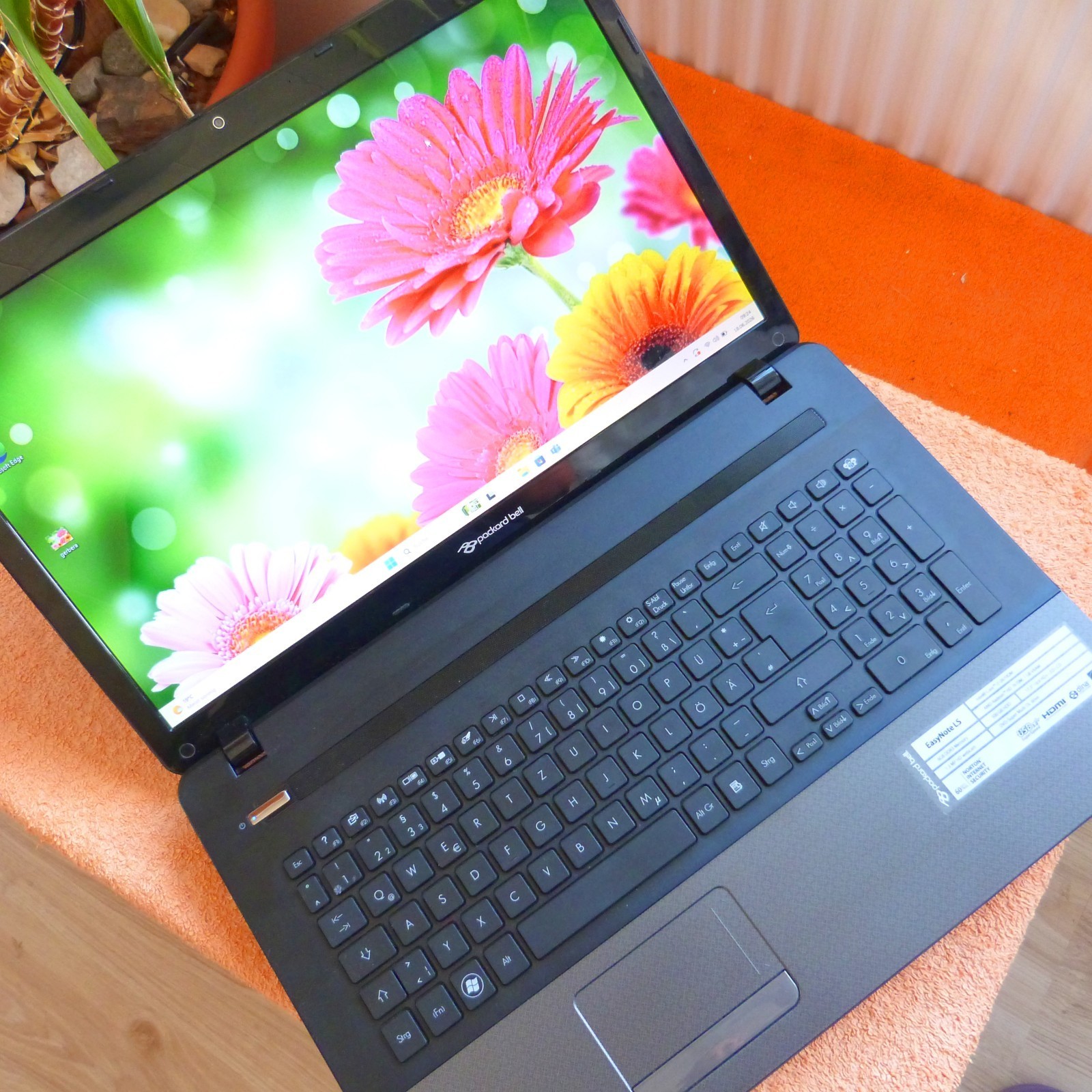 PB LS11 Multimedia 17 inch HDPLUS I 1TB SSD Windows 11 l 8GB RAM Core i7 DVDRW