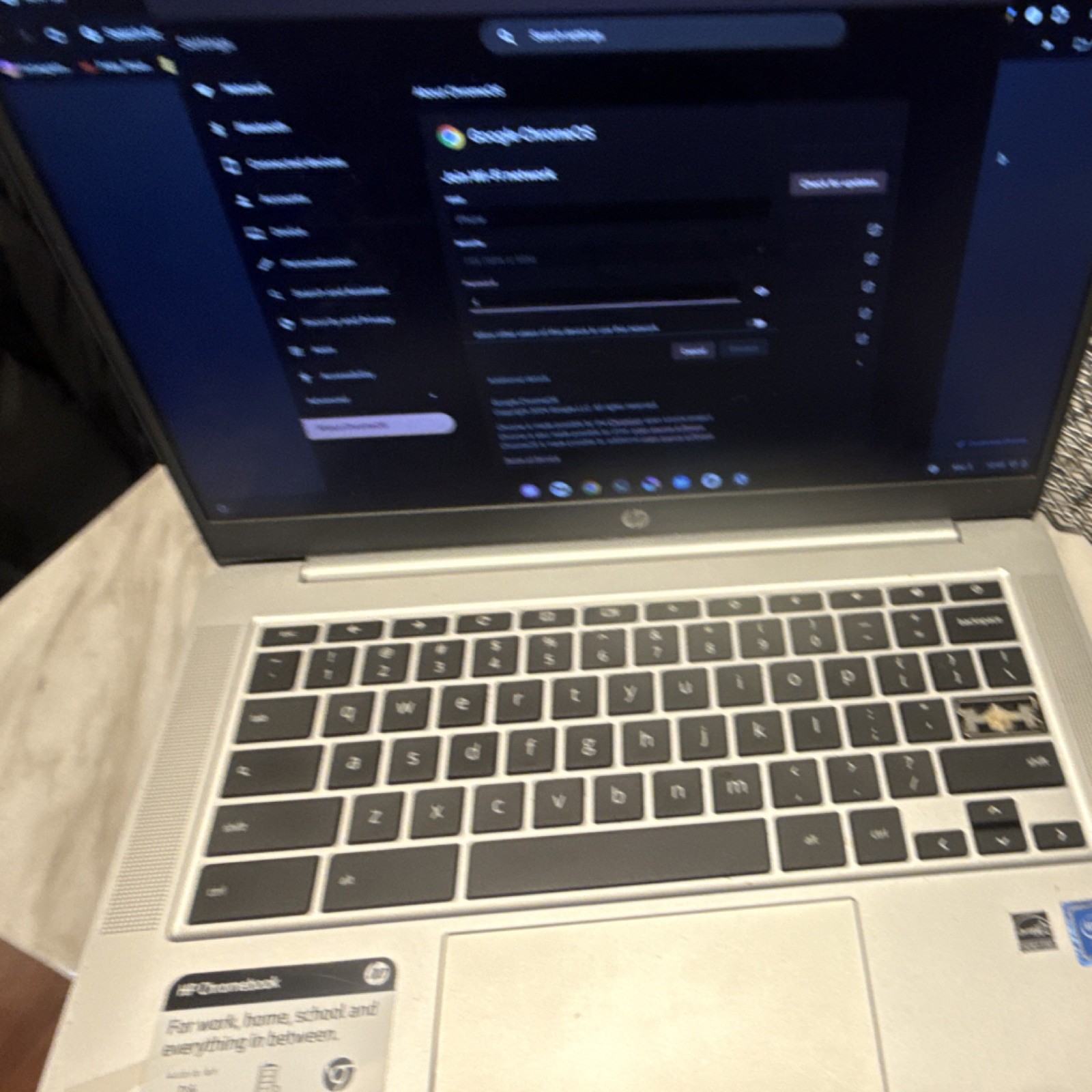 HP Chromebook Laptop Silver Chrome OS Wi-Fi Built-in Webcam