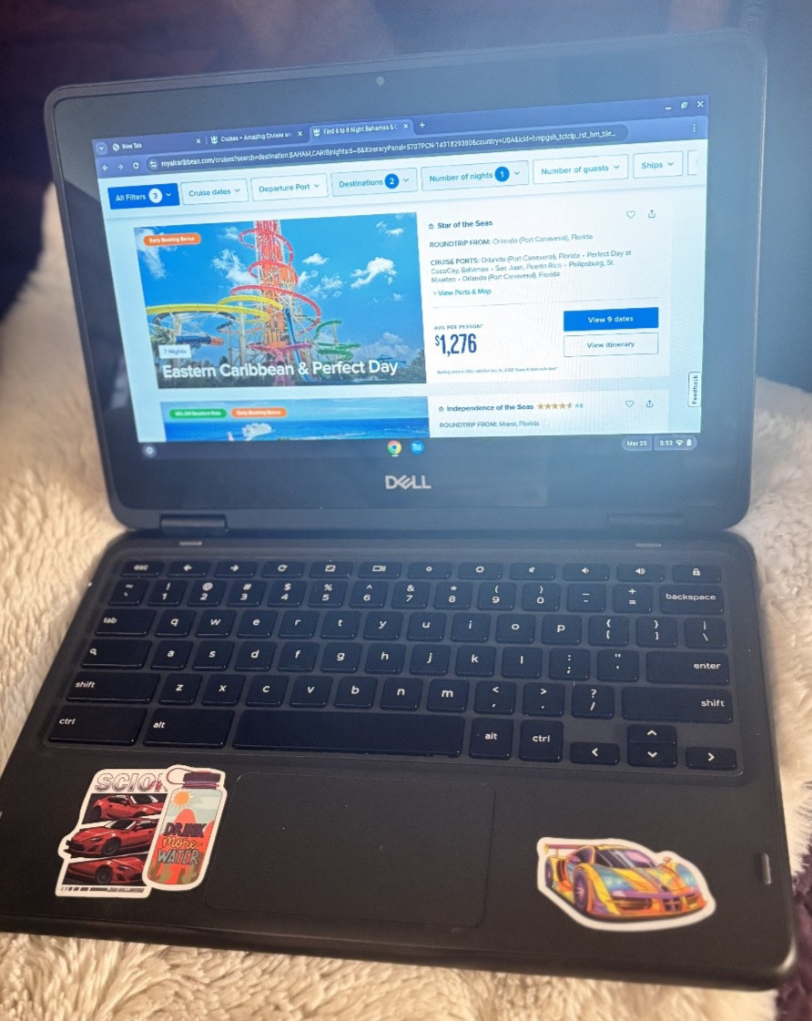 Dell Chromebook 3100 2-in-1 11.6” Touchscreen Intel N4020 4GB RAM USB-C Charger