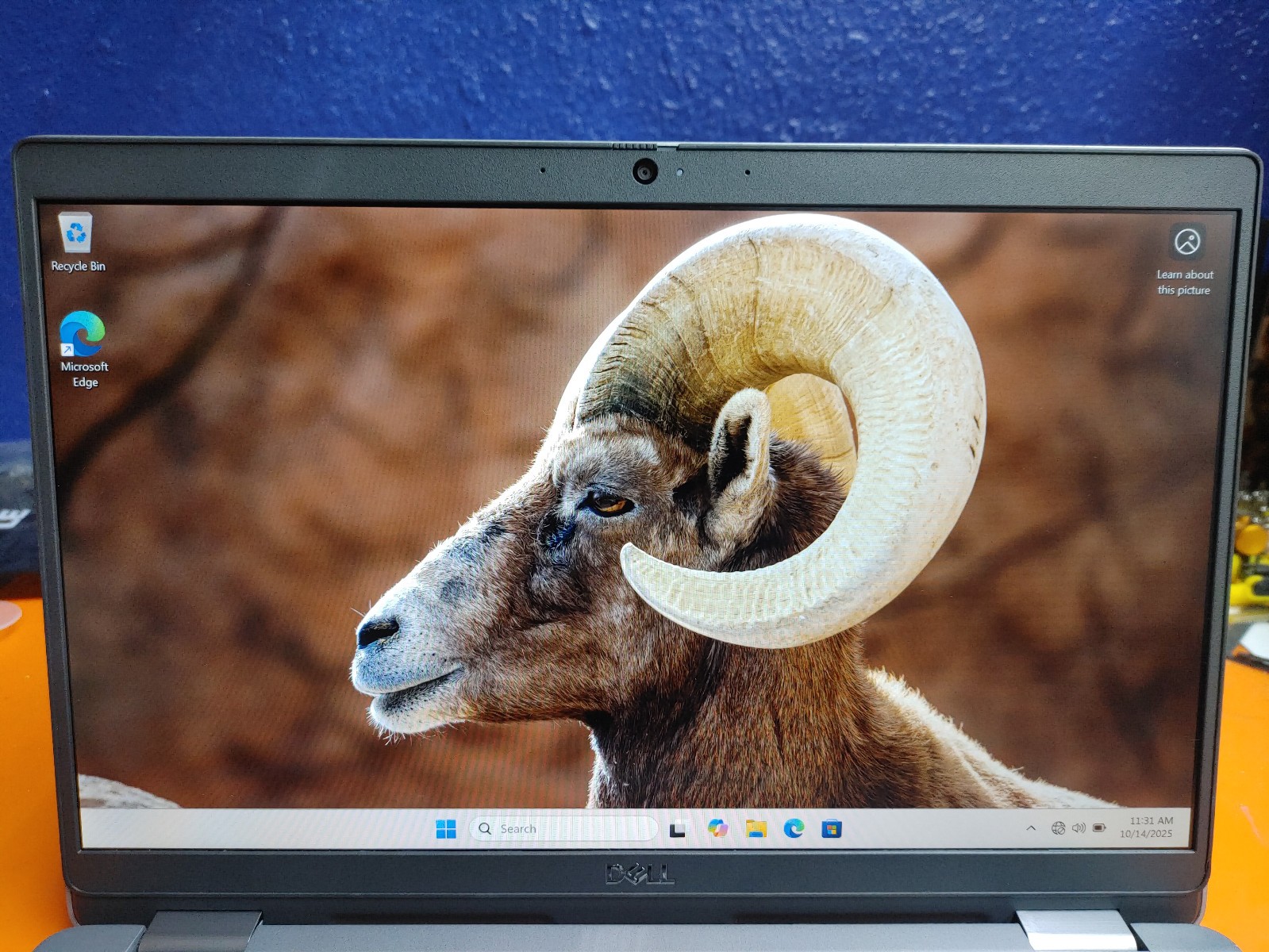 Dell Latitude 5320 13.3″ FHD Laptop i3-1125G4 2.0GHz 8GB