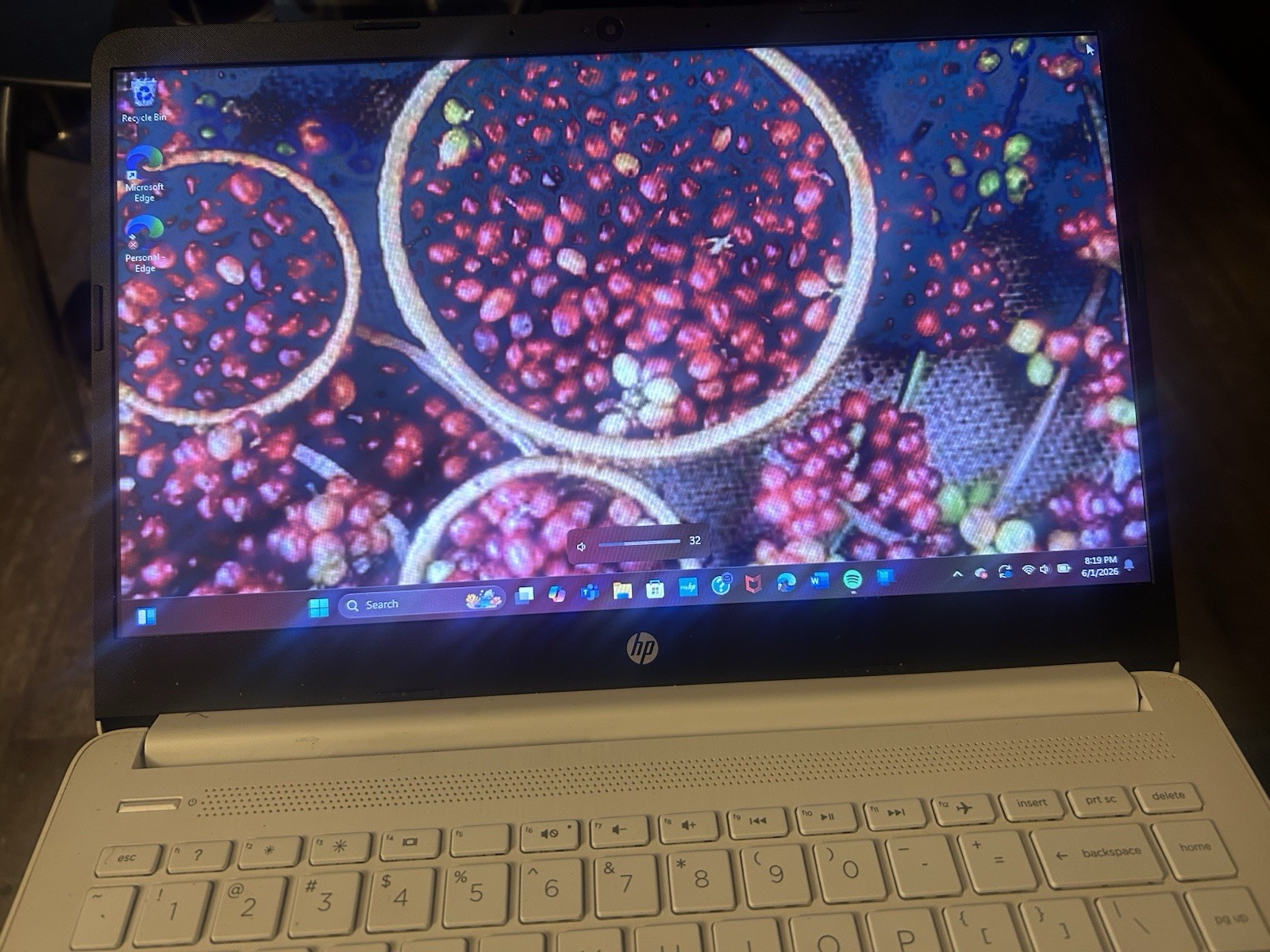 HP 14in Laptop Notebook Intel Processor Windows 11 white Casual Computing