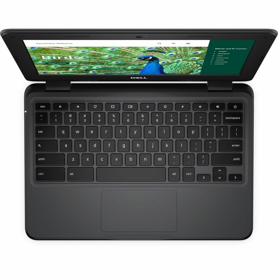 Dell Chromebook 3000 3120 11.6 Clamshell Chromebook – HD – 60 Hz – Intel N100 –