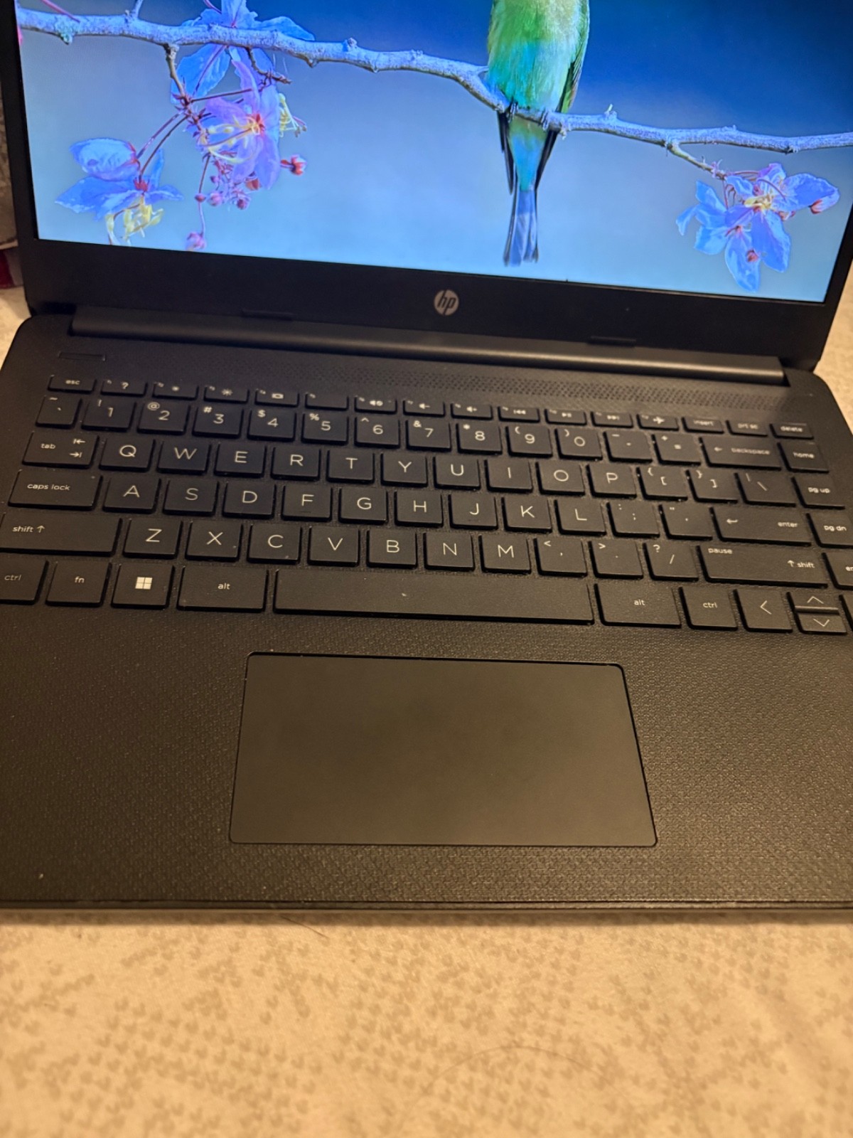 laptop Hp 14’ intel celeron 4GB memory 6r GB eMMC jet black