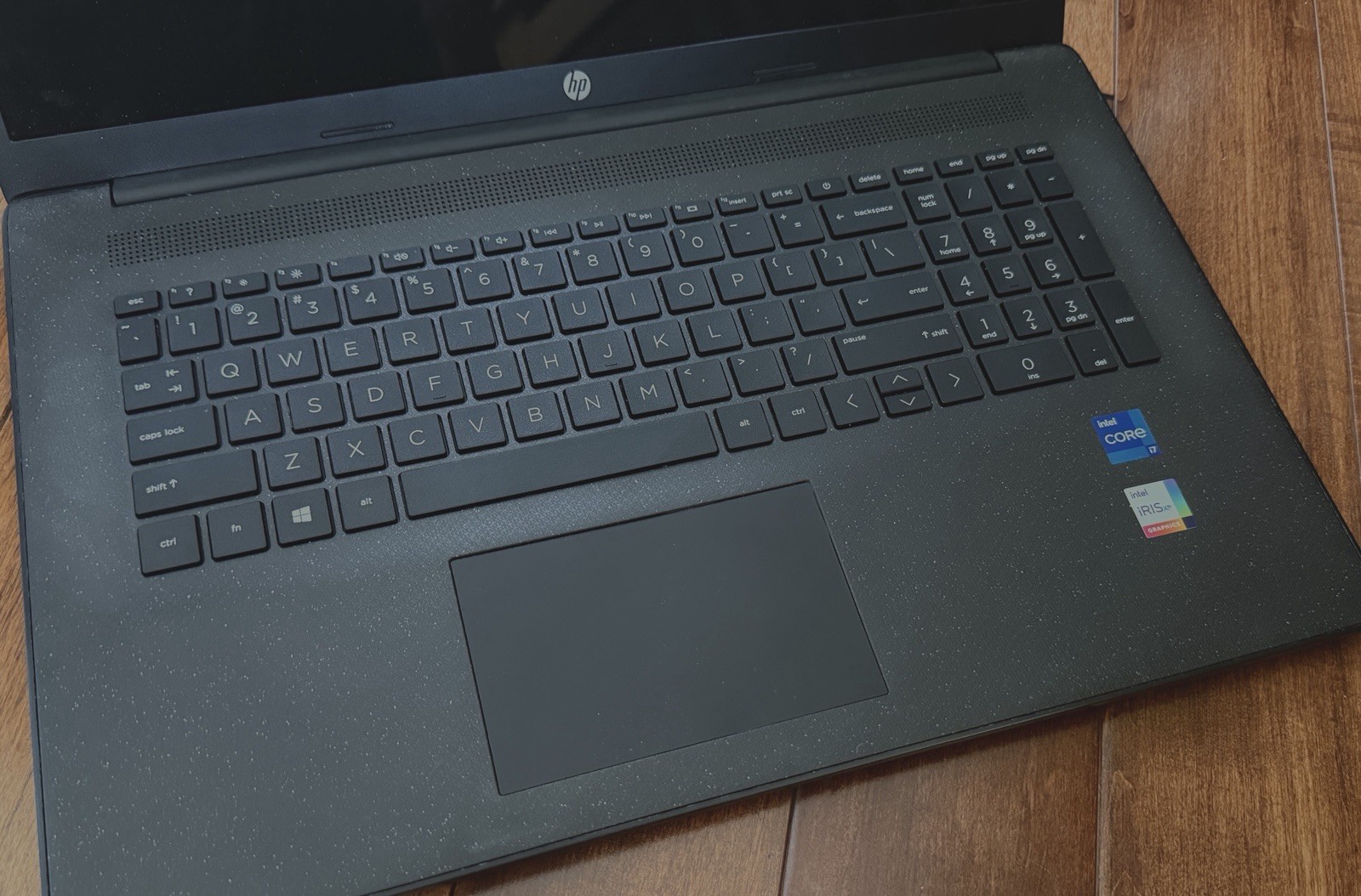 HP Laptop i7-1165G7 4-Core 4.7Ghz Iris Xe Graphics