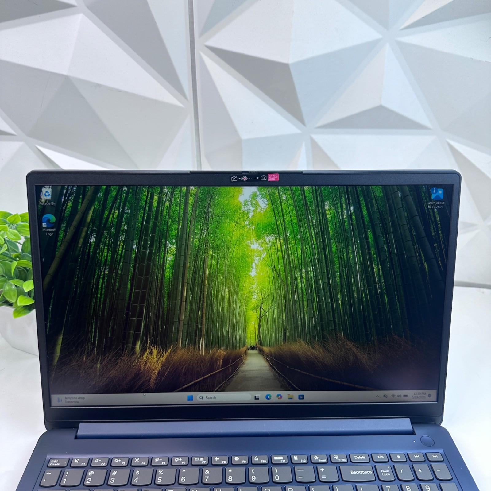 Lenovo IdeaPad 1 15AMN7 Laptop, 15.6″ FHD Touch, Ryzen 5 7520U, 8GB, 256GB SSD