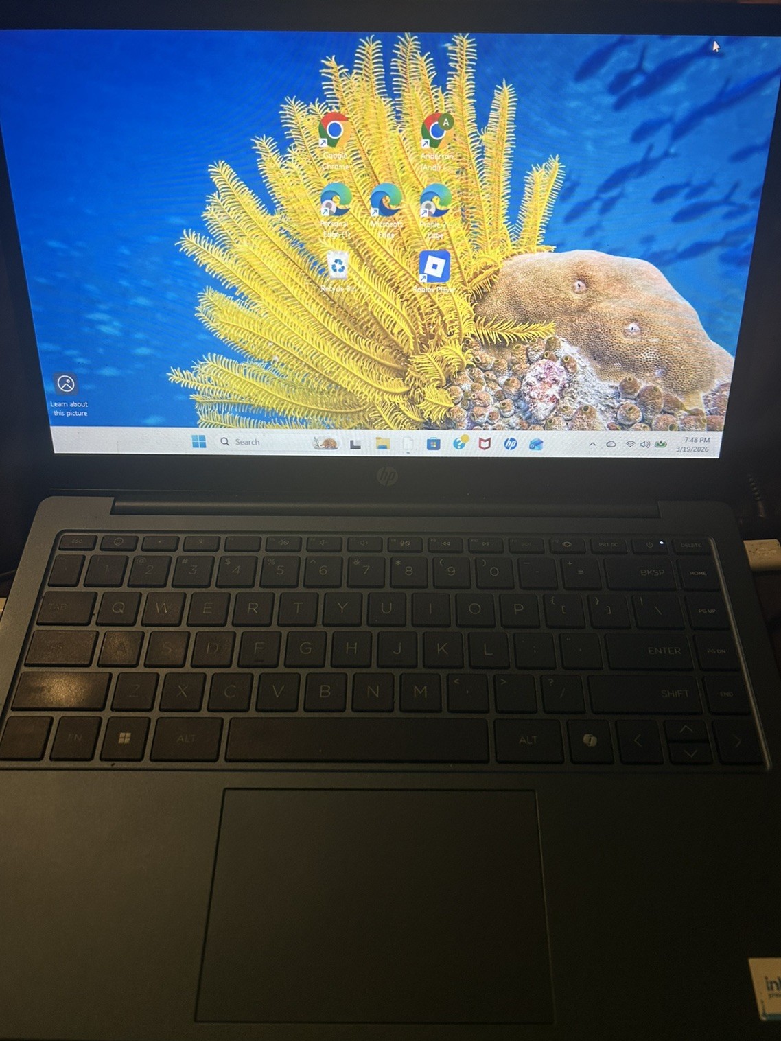 HP Stream 14-CF2111WM 14” (64GB eMMC Intel Celeron N4120 4GB RAM) Laptop – Blue
