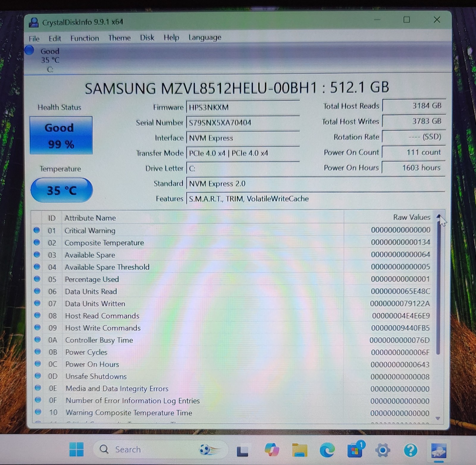 Mint HP 14″ FHD Laptop Intel Core 3 100U 6-Core 12GB RAM 512GB SSD 2024 Win 11