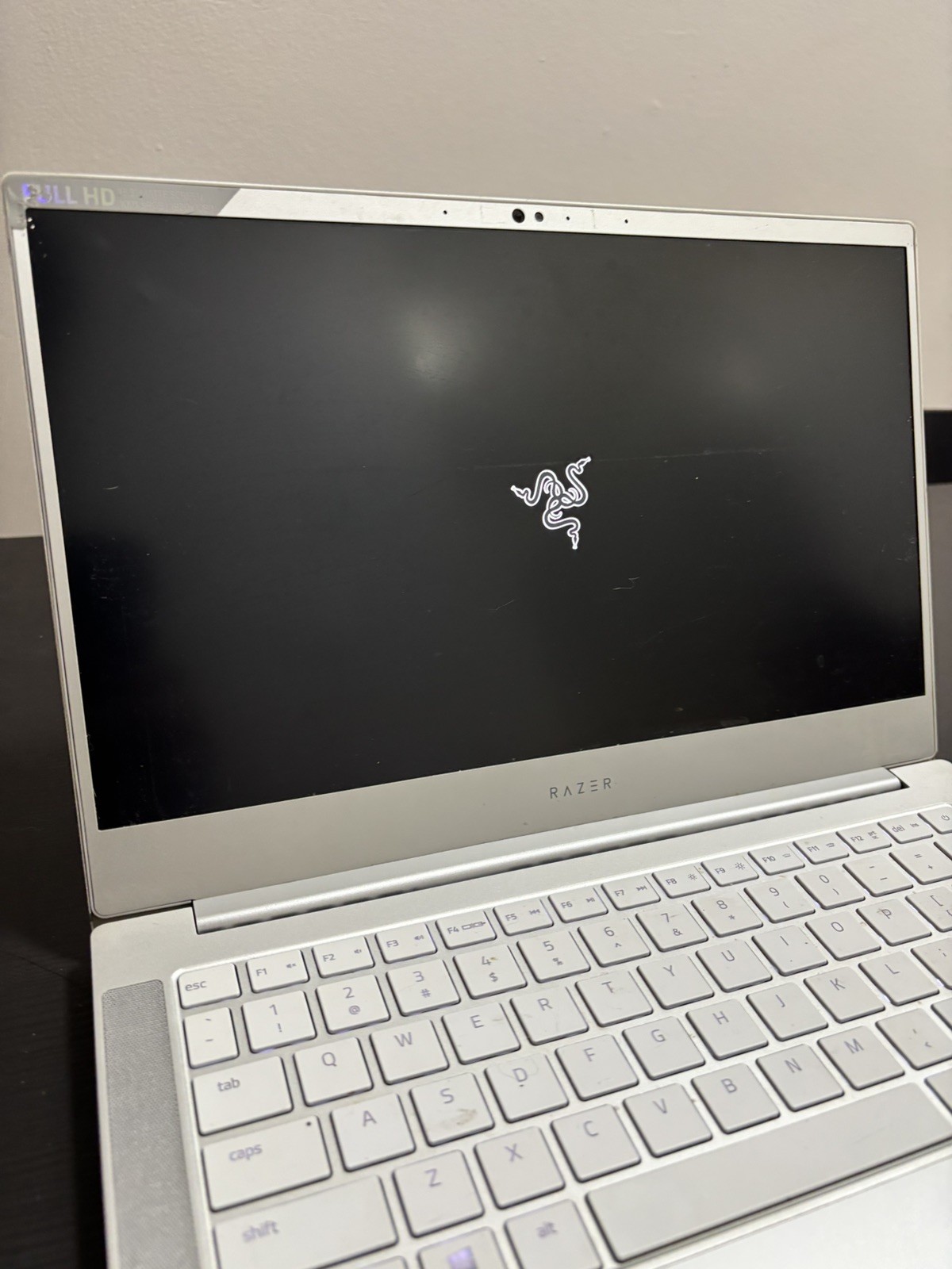 Razer Blade Stealth 13