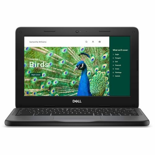 Dell Chromebook 3000 3120 11.6 Clamshell Chromebook – HD – 60 Hz – Intel N100 –