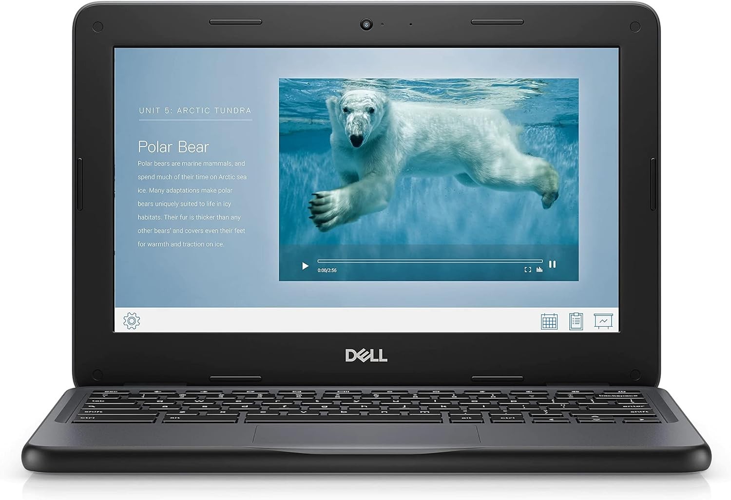 Dell 3100 Chromebook | Refurbished | Tested & Ready to Use | Fast Shipping