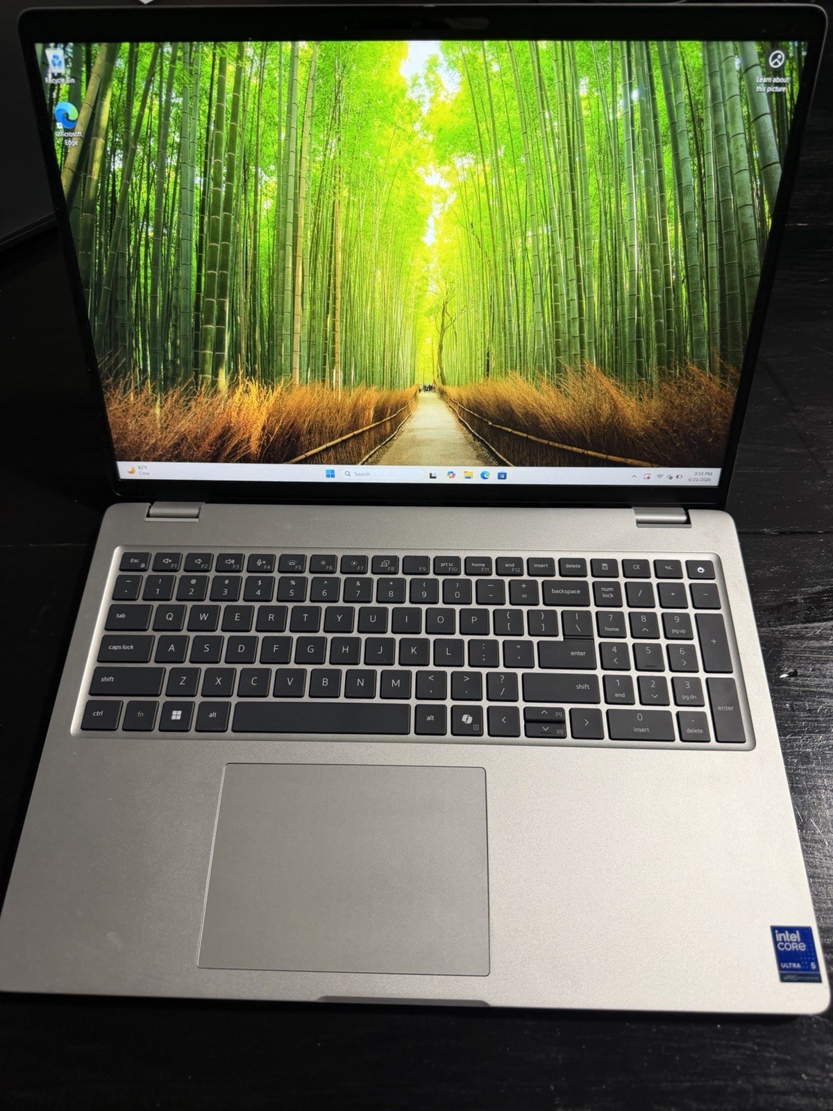 Dell Pro 16 Plus PB16250 Ultra 5 235U 16GB 477GB SSD 16″ W11P Silver