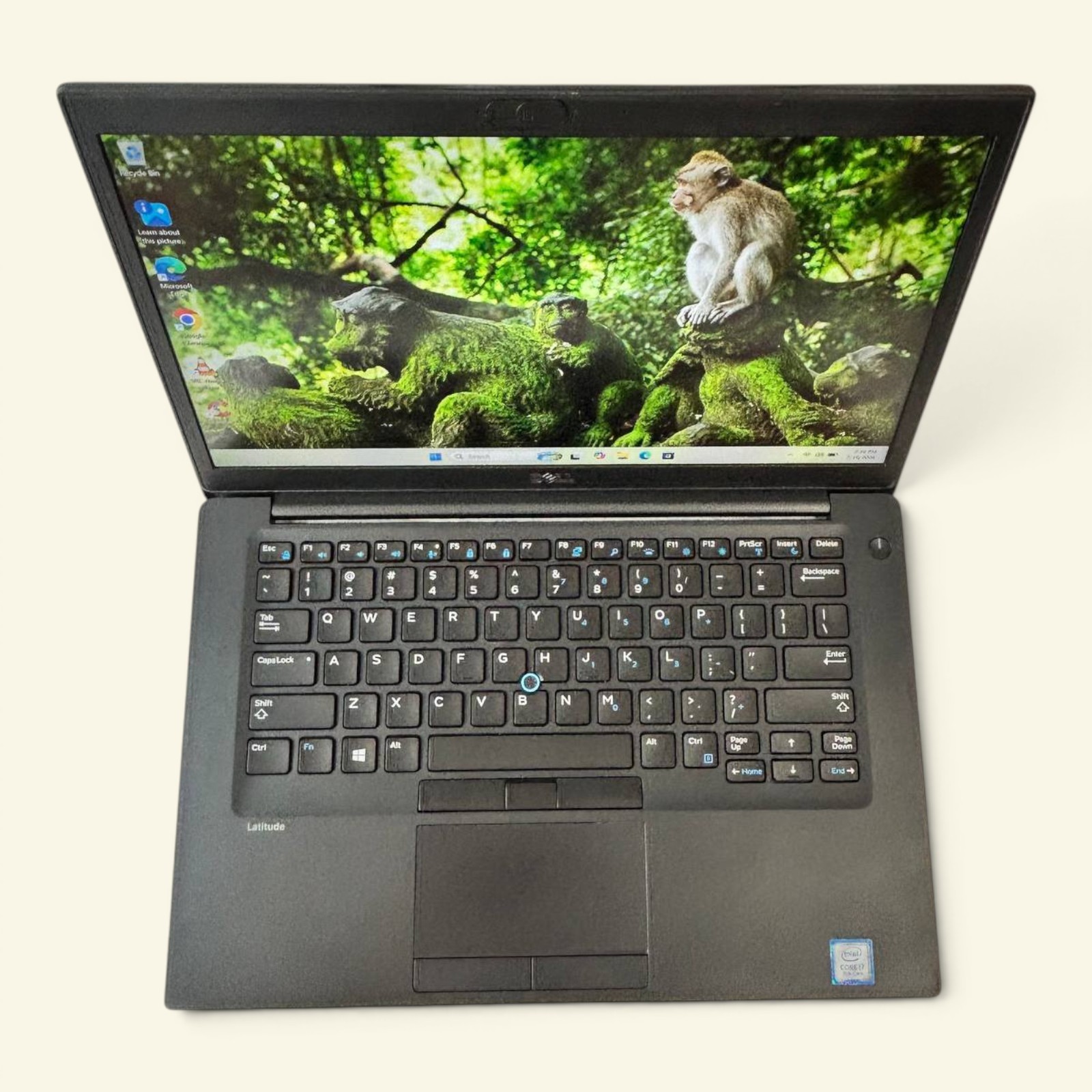 Dell Latitude 7480 – Intel i7-7660U, 8GB RAM, 256GB SSD – Win-11 #167